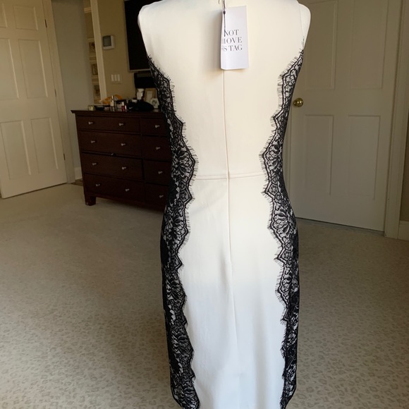 Hayden white sheath dress with black lace (sz 4) - Picture 3 of 10